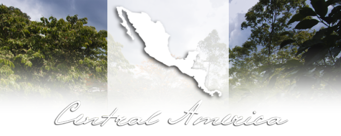 Central America